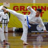 Classes Morley Taekwondo 3 _small