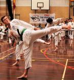 Classes Morley Taekwondo 2 _small