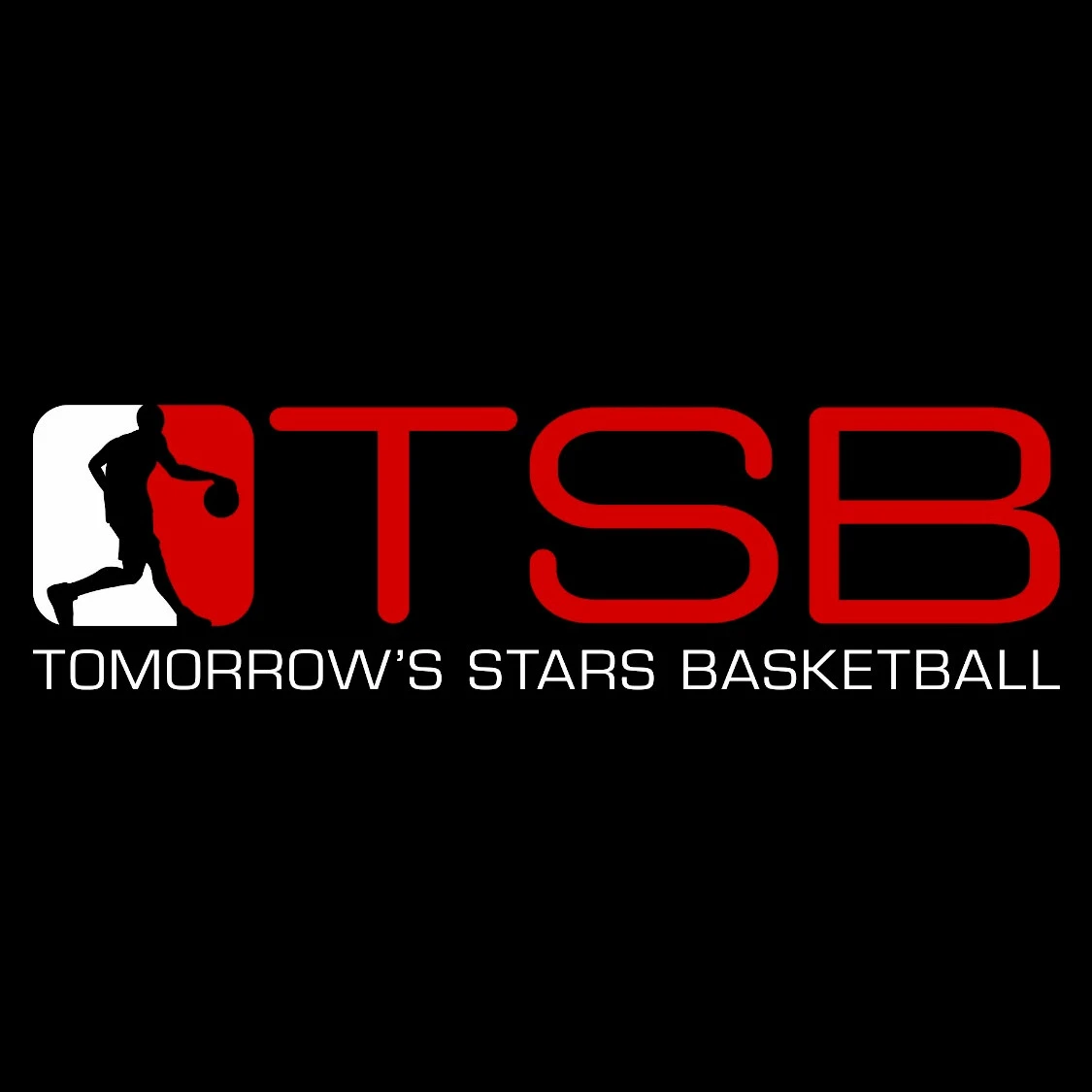 Tomorrow's Stars Basketball